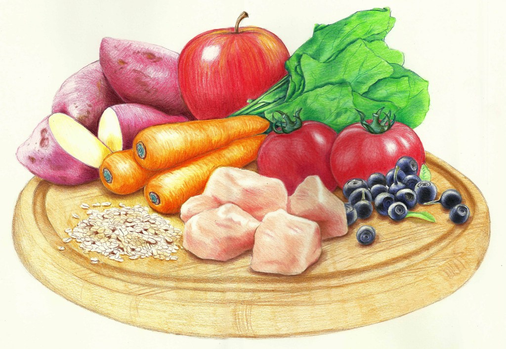 Regulatory-Compliant Food Ingredient Illustrations for Wellpet&nbsp;(Japan)